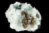 Aurichalcite and Calcite Association - Utah #146187-1